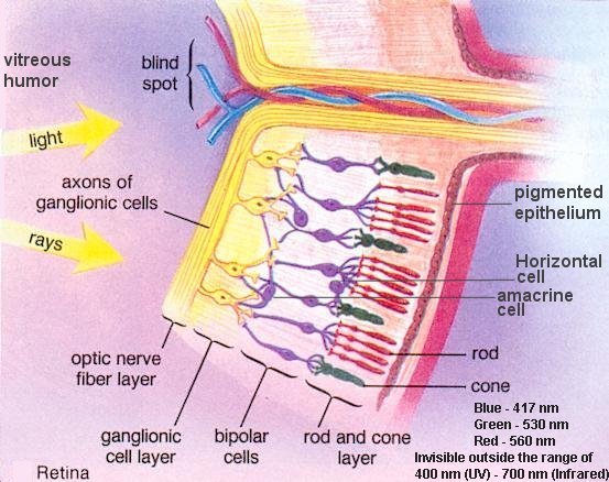 I10-85-retina.jpg