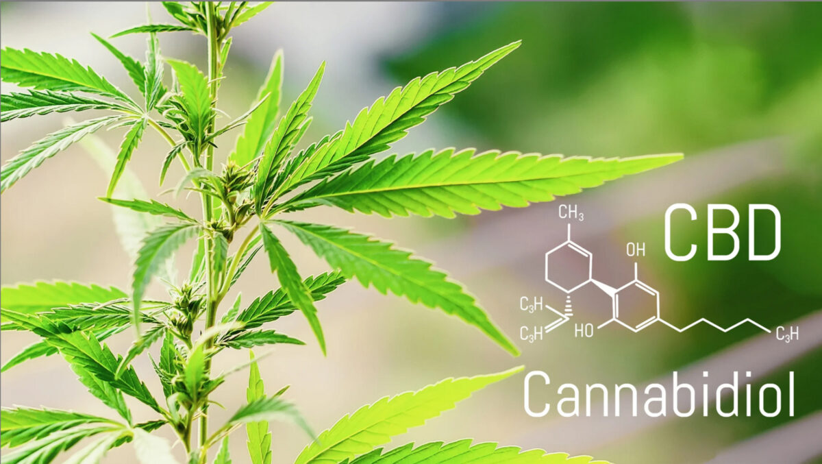 Cannabidiol-1200x677.jpg