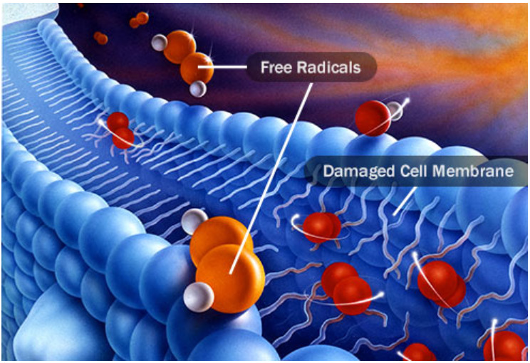 Free-Radicals.jpg