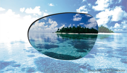 Polarized - Goodrich Optical