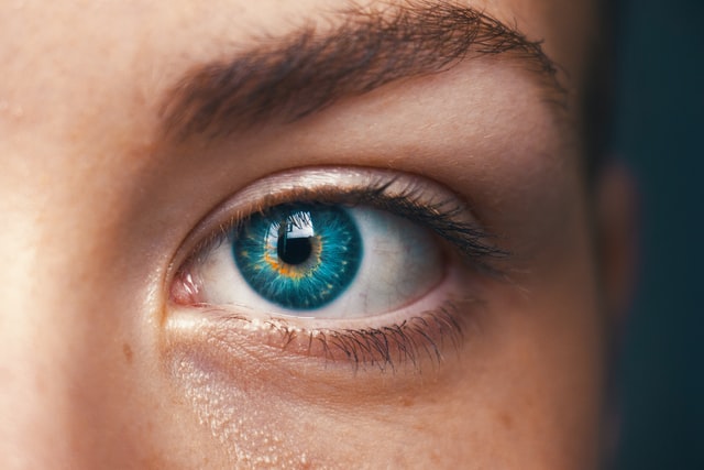 how-eyes-detect-quantity-goodrich-optical.jpg