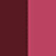 Chocolate Cosmos Popstar