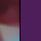 Grape Purple Shade