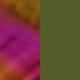 Woodland colored