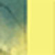 Yellow Shade